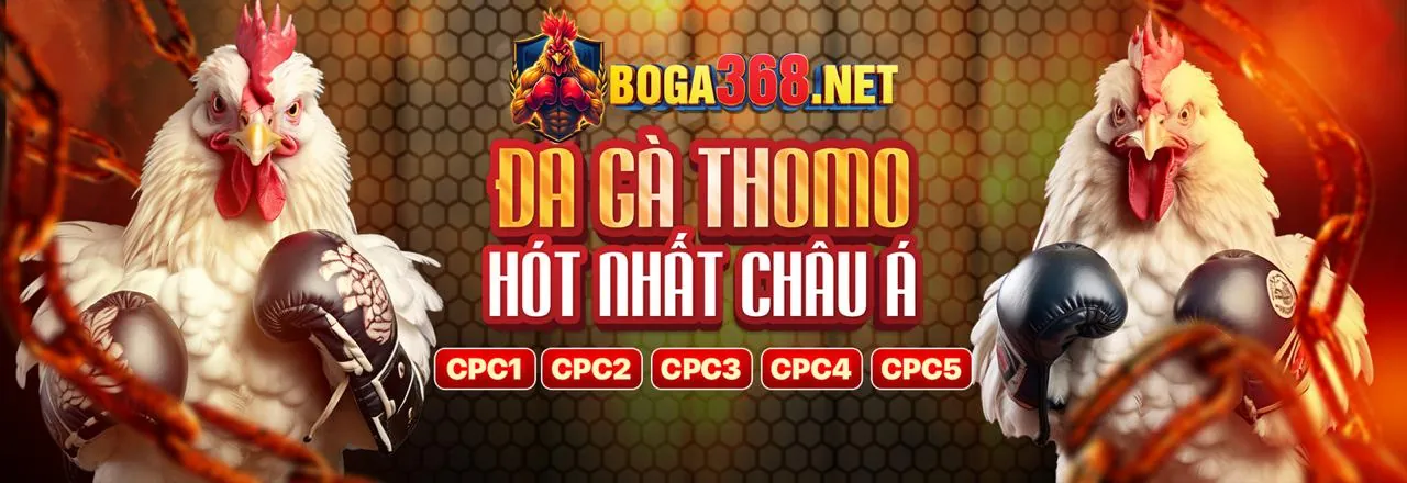 Đá Gà Trực Tuyến Hấp Dẫn Tại Nhà Cái Uy Tín
