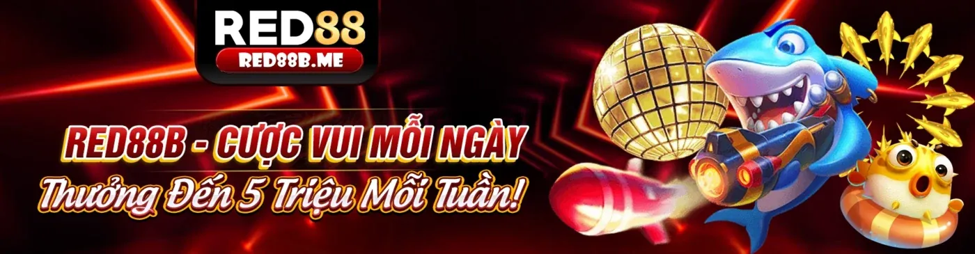 Quyền lợi của người chơi theo GDPR tại nhà cái